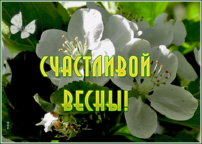 Картинка милая открытка счастливой весны