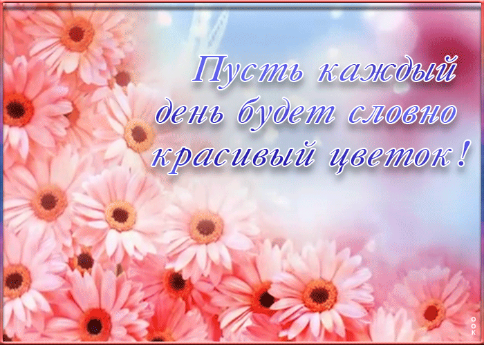 Картинка милое пожелание с цветами