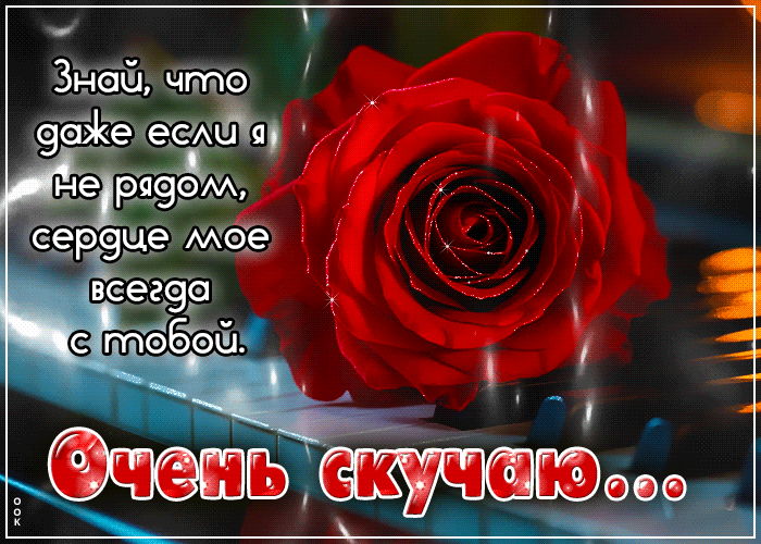 Postcard мудрая гиф-открытка, очень скучаю