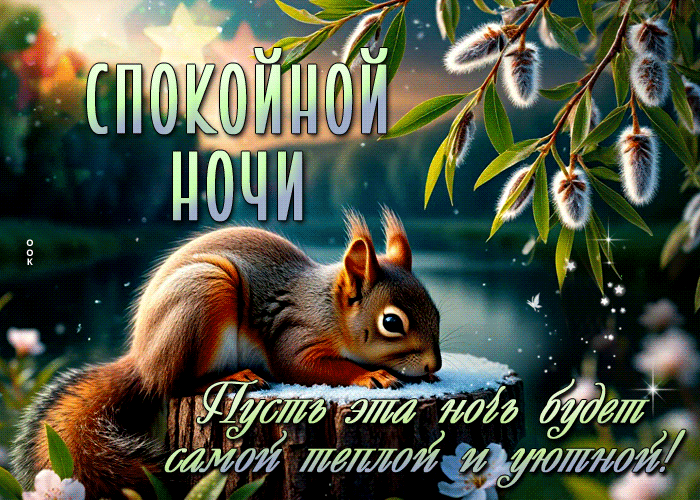 Postcard мягкая гиф-открытка, пусть ночь будет уютной и теплой