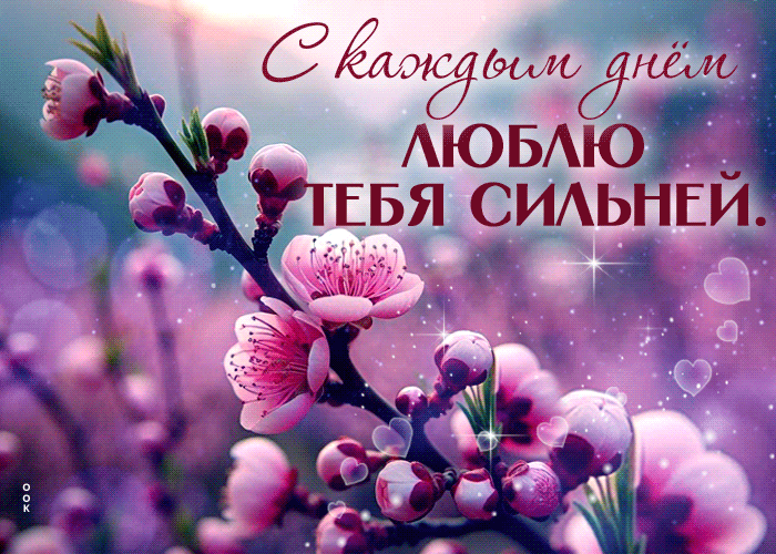 Picture неотразимая гиф-открытка, с каждым днем люблю тебя сильней
