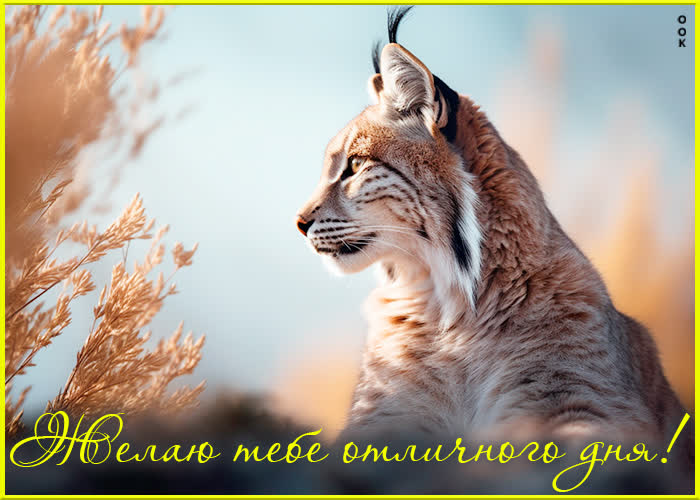 Picture незабываемая открытка желаю тебе отличного дня