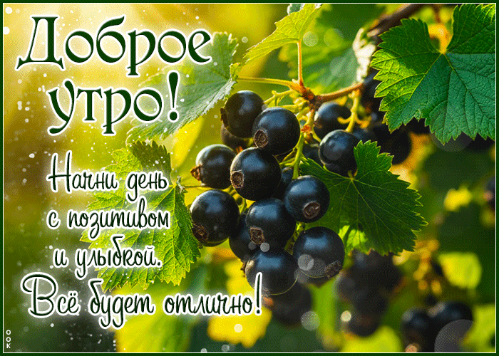 Postcard незаменимая гиф-открытка, начни утро с позитива