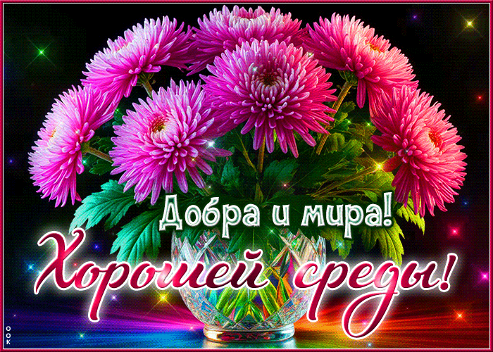 Postcard нежная гиф-открытка, добра и мира в эту среду