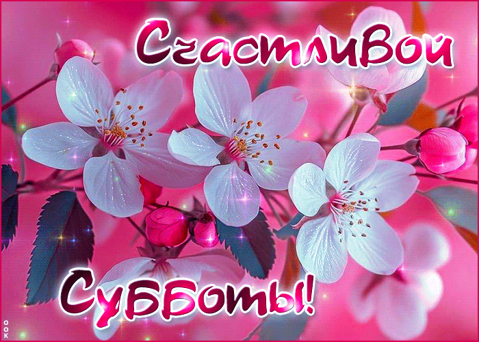 Picture нежная гиф-открытка, счастливой и приятной субботы