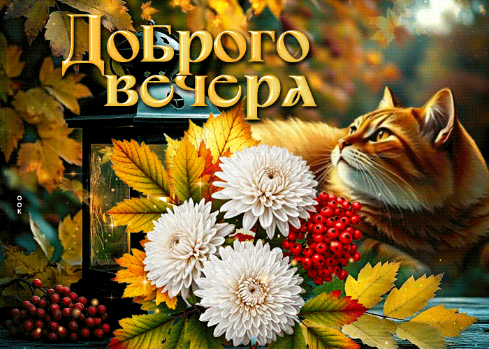 Postcard нежная гиф-открытка, волшебного вечера