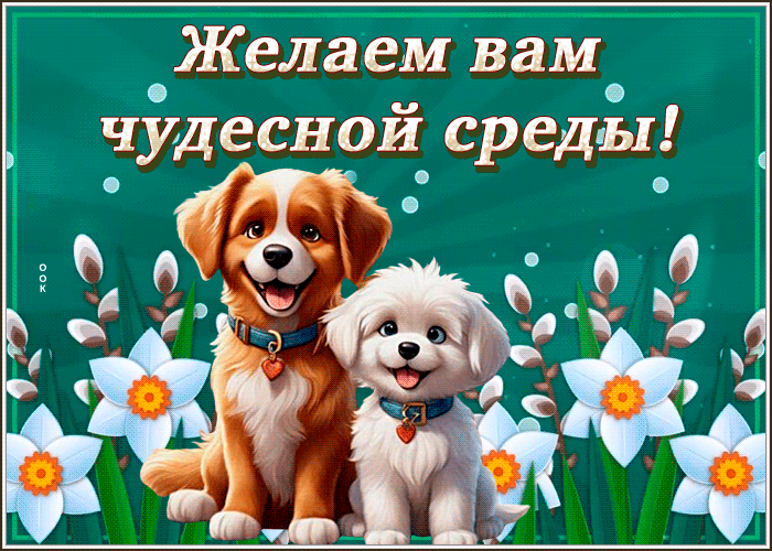 Postcard нежная гиф-открытка желает нежной среды