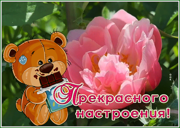Postcard нежная картинка прекрасного настроения с мишкой