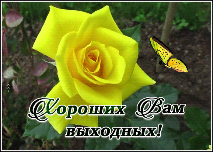 Картинка новая картинка хороших выходных