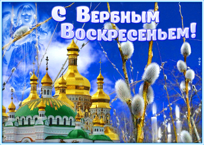 Картинка новая картинка с вербным воскресеньем