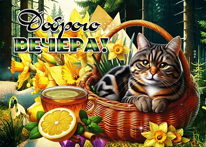 Picture обворожительная гиф-открытка, доброго вечерочка от котика