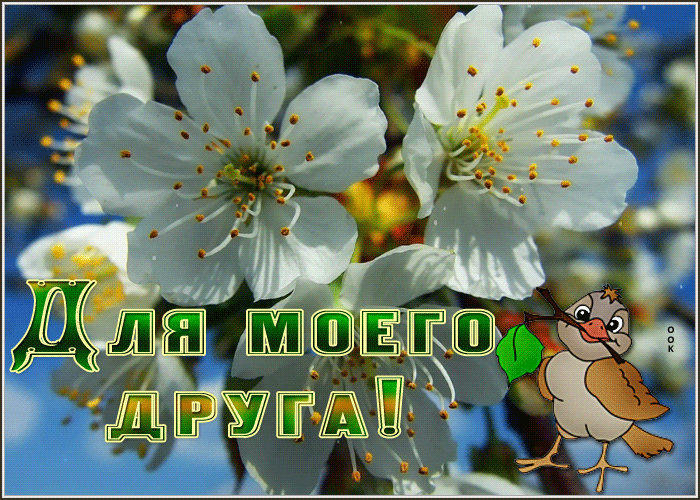 Picture очаровательно-яркая гиф-открытка, самому лучшему другу