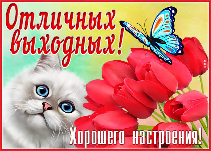 Открытка очаровательная открытка хороших выходных