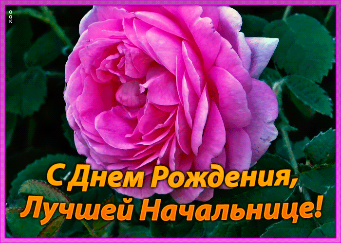 Открытка оригинальная картинка с днем рождения начальнице