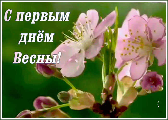Открытка оригинальная открытка с первым днем весны
