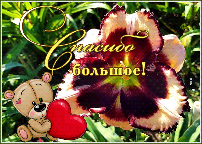 Картинка оригинальная открытка спасибо