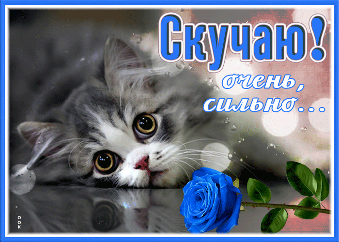 Postcard особенная картинка скучаю очень сильно с котиком и розой