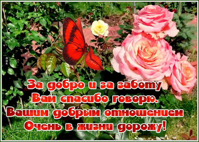 Открытка открытка благодарю от всей души