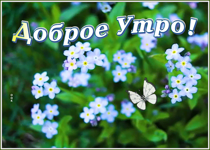 Картинка открытка доброе утро с необычными цветами