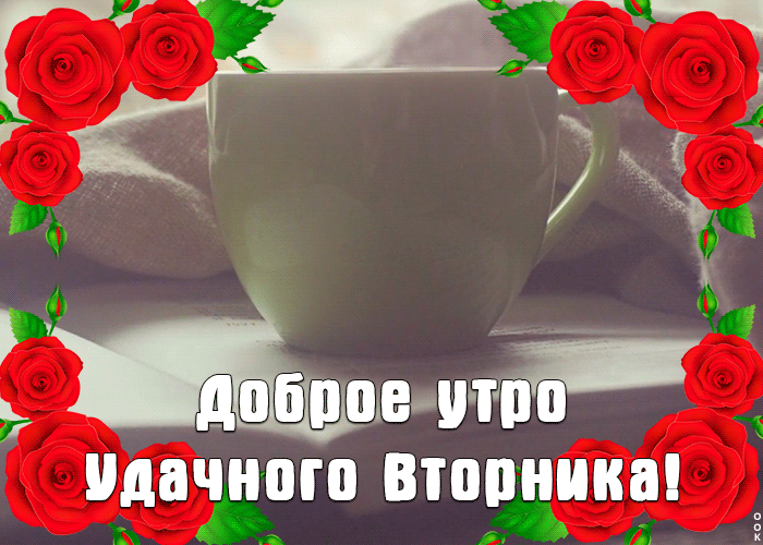Картинка открытка доброе утро вторника