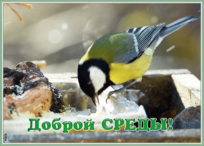Картинка открытка доброй среды