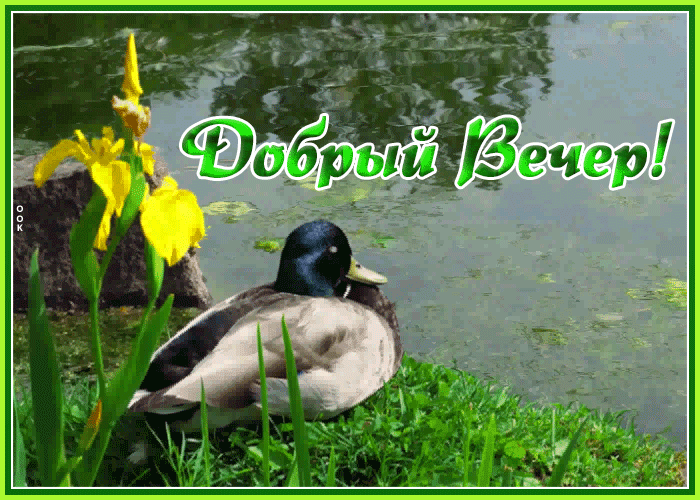 Открытка открытка добрый вечер с природой
