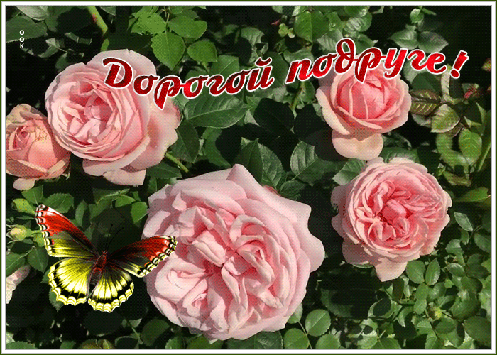Картинка открытка дорогой подруге