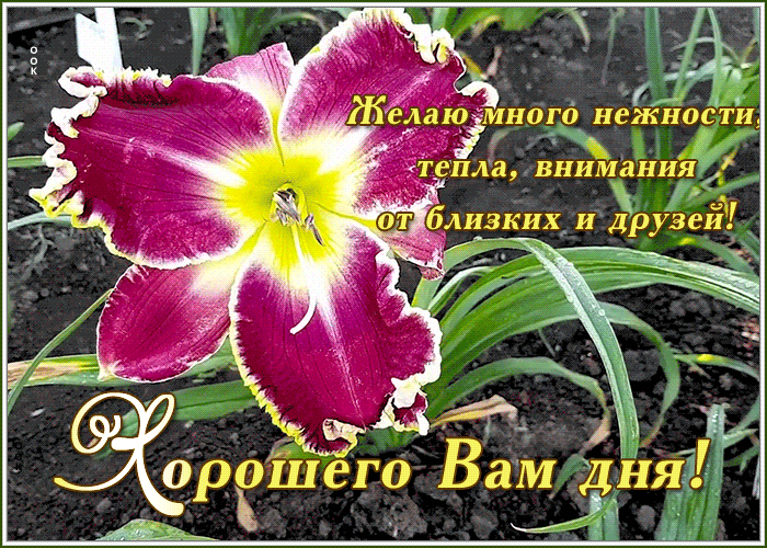 Открытка открытка хорошего дня с пожеланием