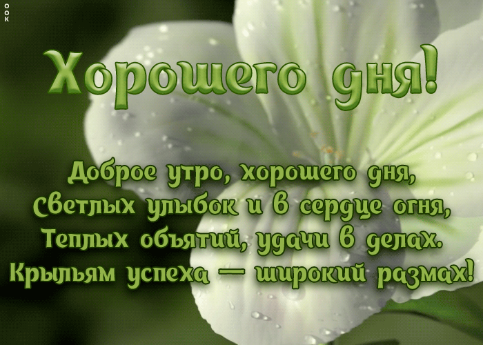 Картинка открытка хорошего дня со стихами