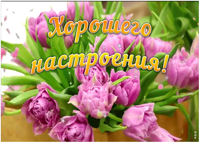 Картинка открытка хорошего настроения с пионами