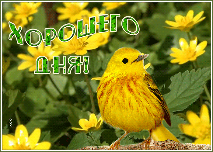 Открытка открытка хорошего нового дня