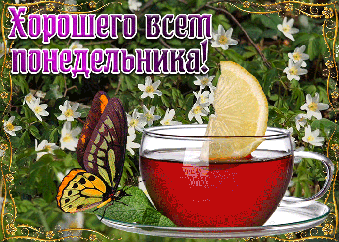 Картинка открытка хорошего всем понедельника