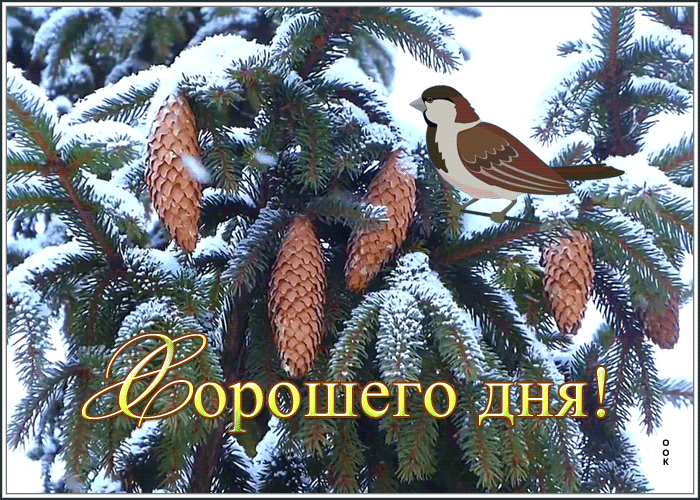 Открытка открытка хорошего зимнего дня