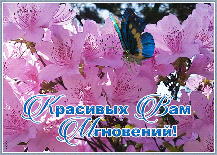 Картинка открытка красивых мгновений