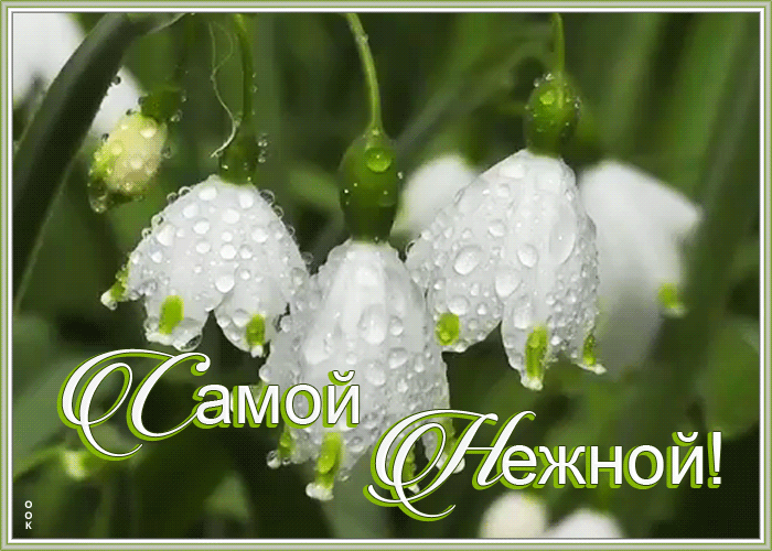 Картинка открытка ландыши самой нежной