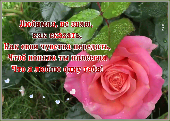 Картинка открытка любимой женщине
