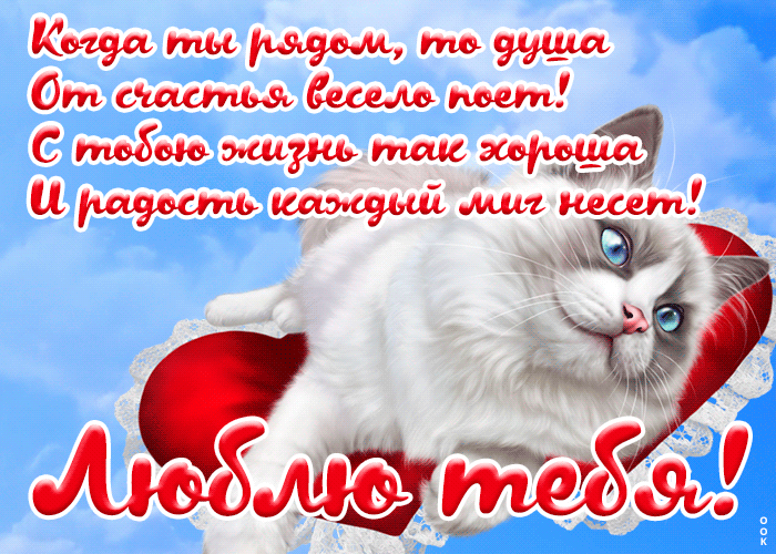 Postcard открытка люблю с милым котом