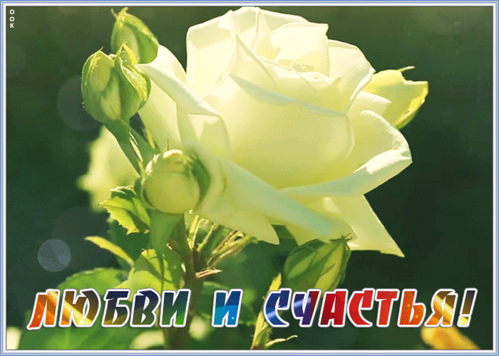 Картинка открытка любви и счастья