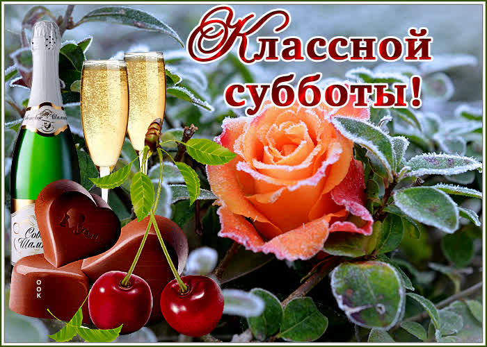 Открытка открытка отличной зимней субботы