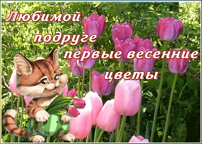 Открытка открытка подруге с тюльпанами