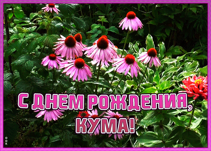 Картинка открытка поздравление с днем рождения куме