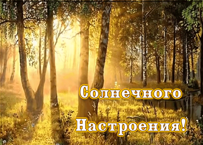 Открытка открытка пожелания хорошего настроения