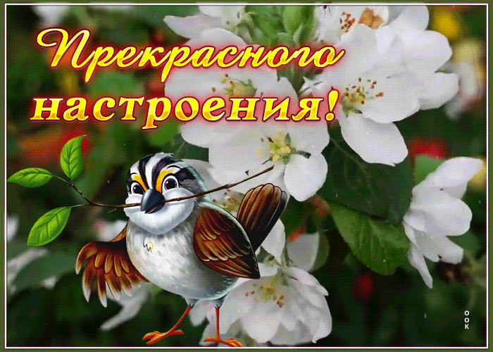 Postcard открытка прекрасного настроения с цветущим деревом