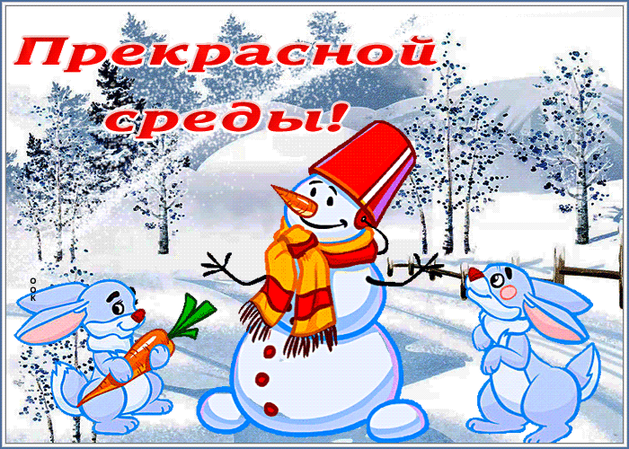 Postcard открытка прекрасной среды со снежной зимой