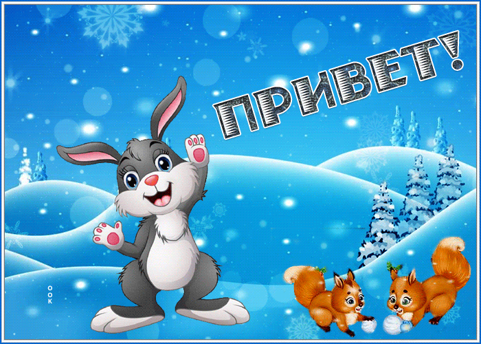 Postcard открытка привет с очаровательными животными
