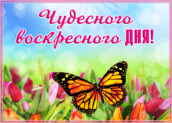 Открытка открытка приятного воскресного дня