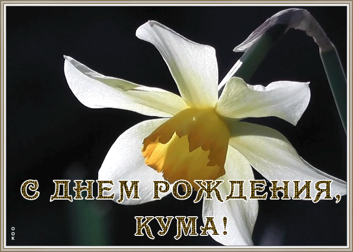 Открытка открытка с днем рождения куме с нарциссом