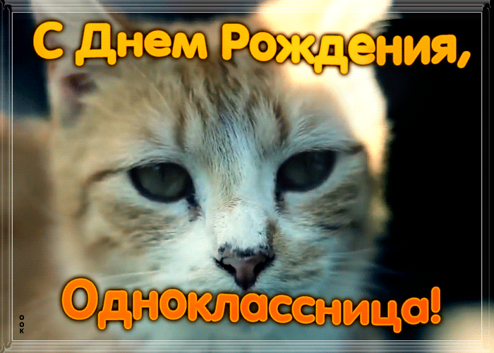 Открытка открытка с днем рождения однокласснице с котиком