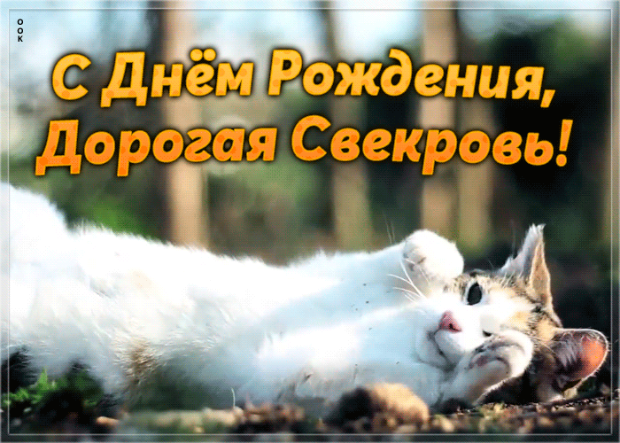 Открытка открытка с днем рождения свекрови с котиком