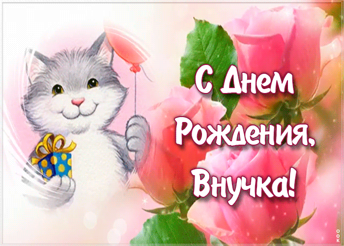 Картинка открытка с днем рождения внучке с котиком